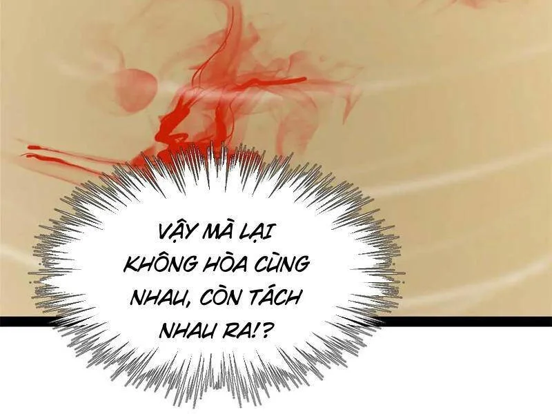 Chàng Rể Mạnh Nhất Lịch Sử chương 194 - trang 82