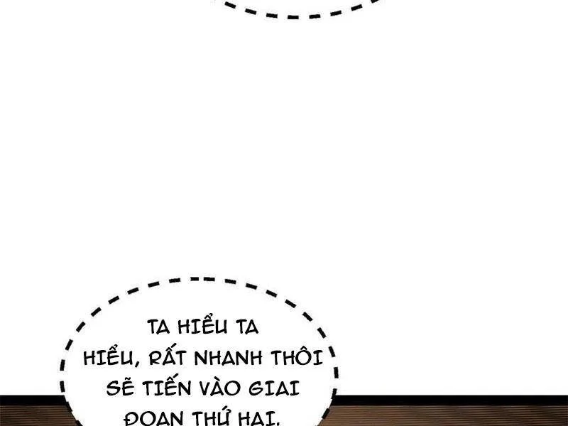 Chàng Rể Mạnh Nhất Lịch Sử chương 207 - trang 5