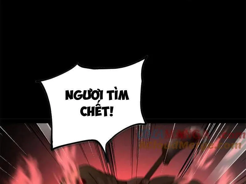 Chàng Rể Mạnh Nhất Lịch Sử chương 207 - trang 116