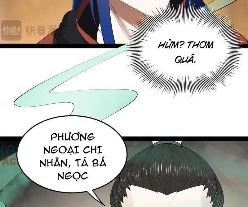 Chàng Rể Mạnh Nhất Lịch Sử chương 211 - trang 19