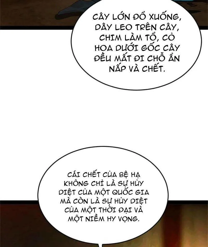 Chàng Rể Mạnh Nhất Lịch Sử chương 221 - trang 46