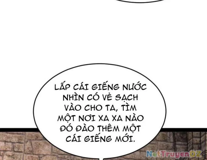Chàng Rể Mạnh Nhất Lịch Sử chương 256 - trang 13