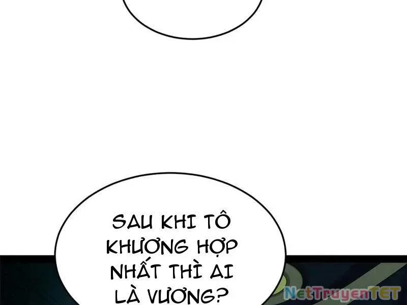 Chàng Rể Mạnh Nhất Lịch Sử chương 265 - trang 12