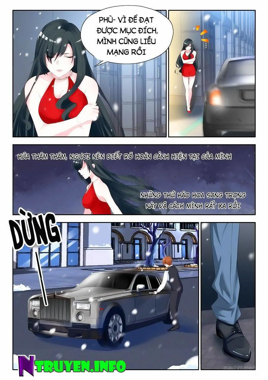 Tâm Cơ Hôn Sủng chương 1 - trang 3