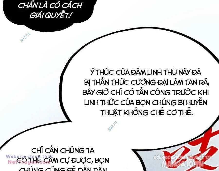 Vạn Cổ Chí Tôn chương 293 - trang 14