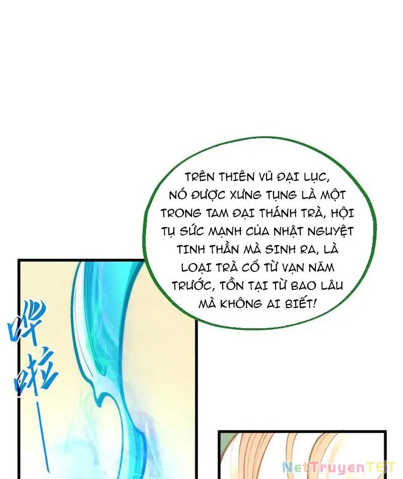 Vạn Cổ Chí Tôn chương 389 - trang 68